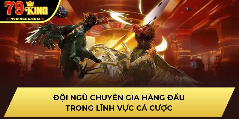 Đội ngũ chuyên gia hàng đầu trong lĩnh vực cá cược