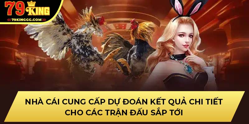 Nhà cái cung cấp dự đoán kết quả chi tiết cho các trận đấu sắp tới